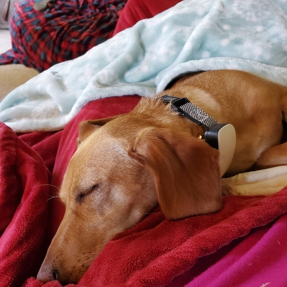 😃❤️LET'S BUNDLE! 4/$20!($10 items or less)‼️ - Picture 4 of 4